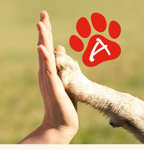 Mit dem Tierfutterabo kannst du Pfotenpunkte sammeln